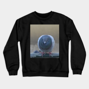 Valentine Pigeon Bird Crewneck Sweatshirt